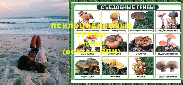 эйфоретик Медногорск