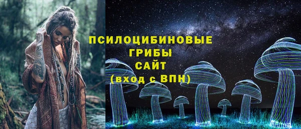 а пвп мука Медвежьегорск