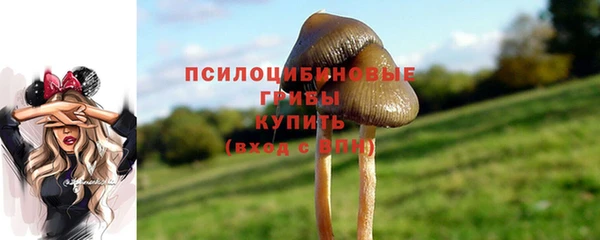 эйфоретик Мегион