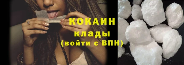 твердый Михайловск