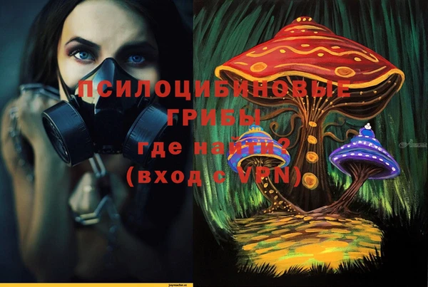 эйфоретик Медногорск